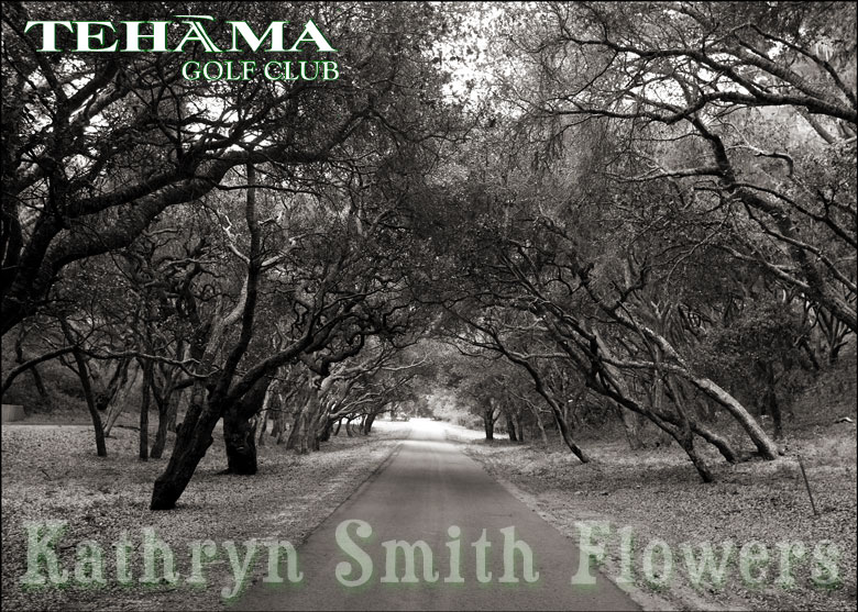 Click on this picture to view the next picture