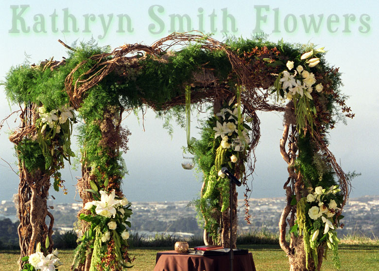 Click on this picture to view the next picture