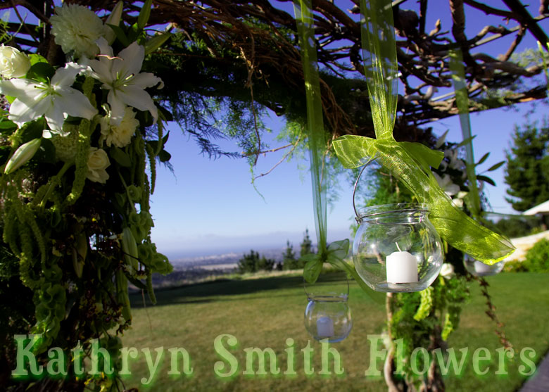 Click on this picture to view the next picture