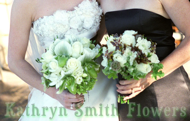 Click on this picture to view the next picture