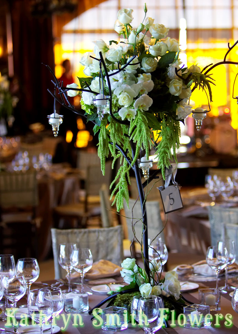 Click on this picture to view the next picture