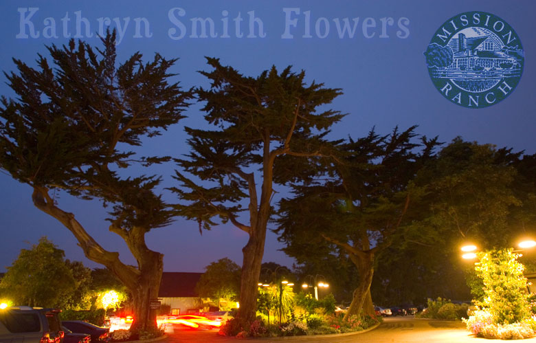 Click on this picture to view the next picture