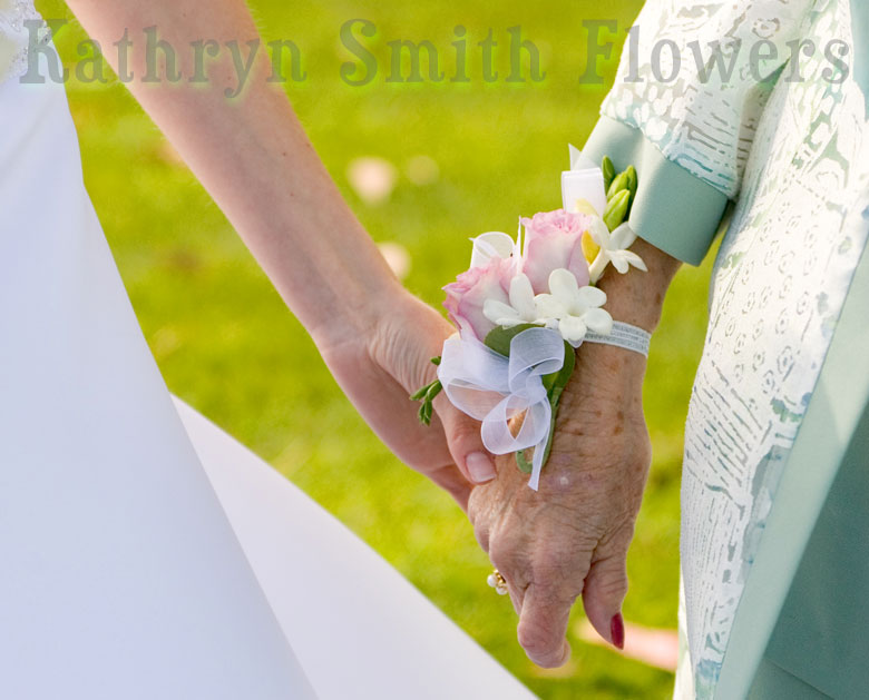 Click on this picture to view the next picture